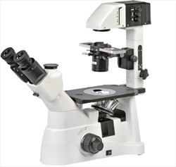 Kính hiển vi sinh học Wraymer SXJ-5800TPHL